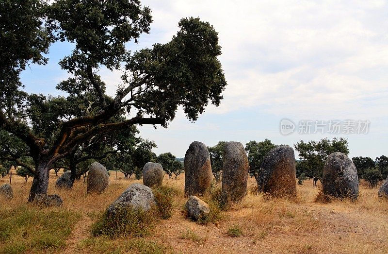 Meio cromlech的valde Maria和软木橡树的巨石综合体，30个酒杯排成椭圆形，Évora, Alentejo，葡萄牙